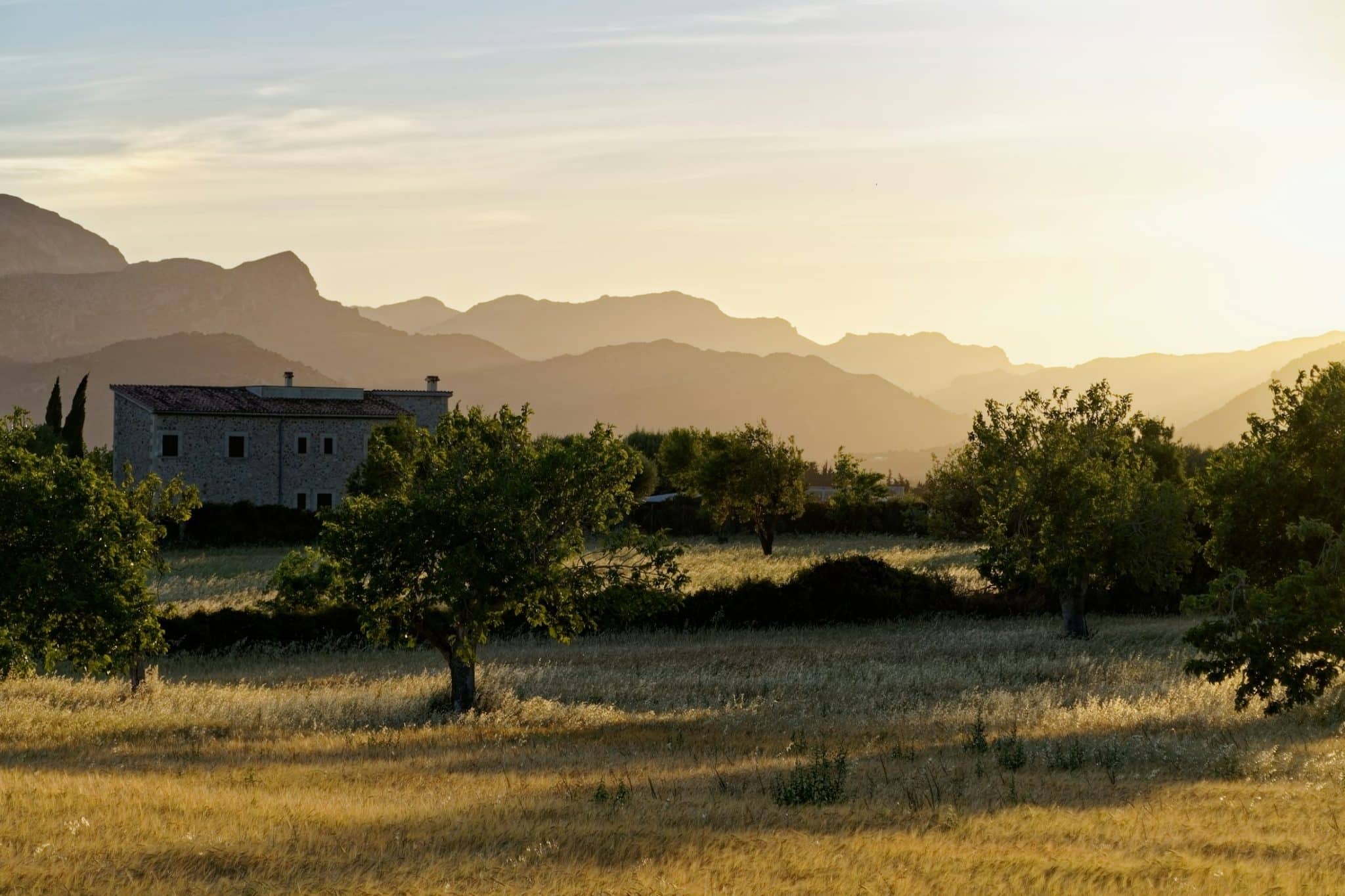 Country house among olive trees in an inland valley at sunset, Costa Blanca